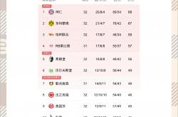 开云官网-汉堡主场告负，德甲降级危机