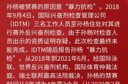 开云下载-孙杨的落败让粉丝激烈的简单介绍