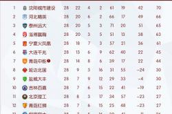 开云体育在线-关于武汉卓尔客场战平大连一方，积分榜持平的信息