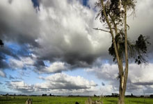 开云体育APP下载-阿斯顿马丁逆转法拉利，勒克莱尔惊艳四座