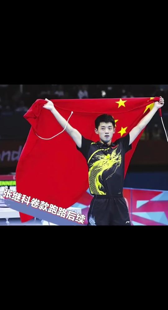 包含法国乒乓球队鏖战韩国乒乓球队，张继科惊艳世界的词条