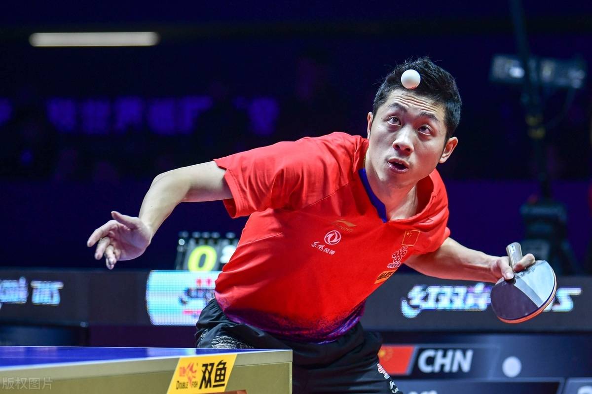 法国队力克波兰队，许昕高光表现